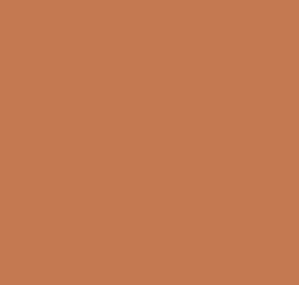 Terracotta colour